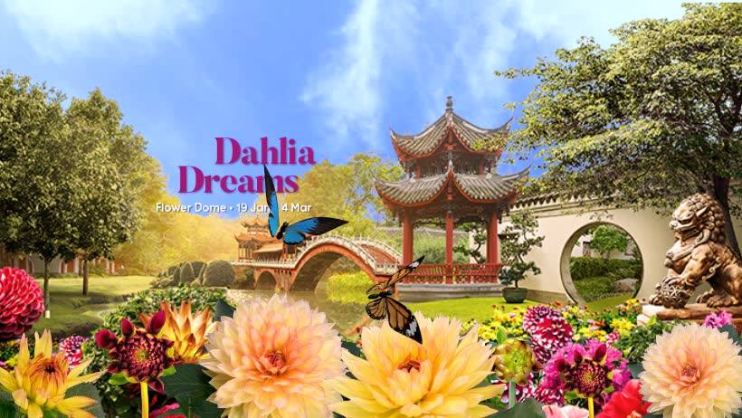 Things to do this Weekend: Step into the Land of Dahlia Dreams @ Gardens by the Bay with Your LOs! - BYKidO