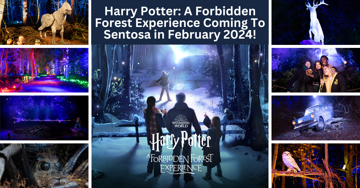 Harry Potter: A Forbidden Forest Experience Set To Make Its Asia-Pacific Debut In Singapore!