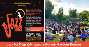 Action For Singapore Dogs Brings Back The Third Edition Of Jazz For Dogs