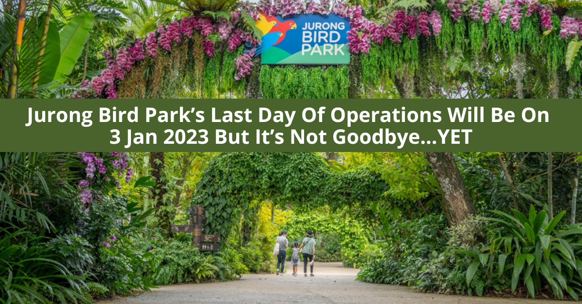 A Flight To Remember | Enjoy $10 Entry To Jurong Bird Park Before It Closes!