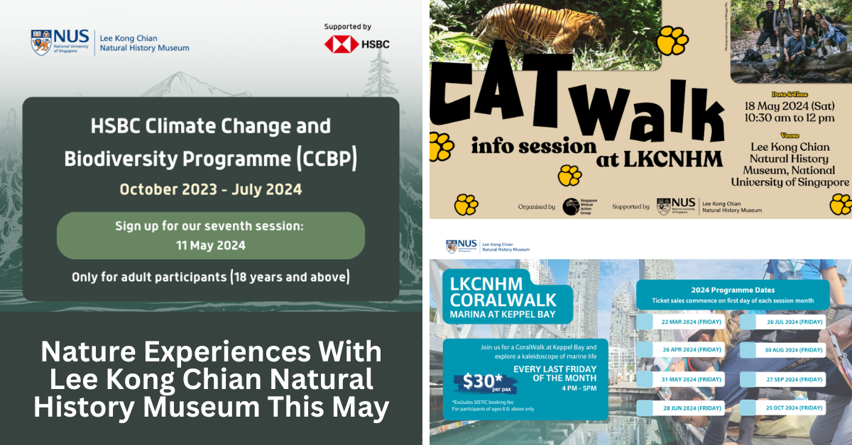 Nature Experiences With Lee Kong Chian Natural History Museum This Month Of May