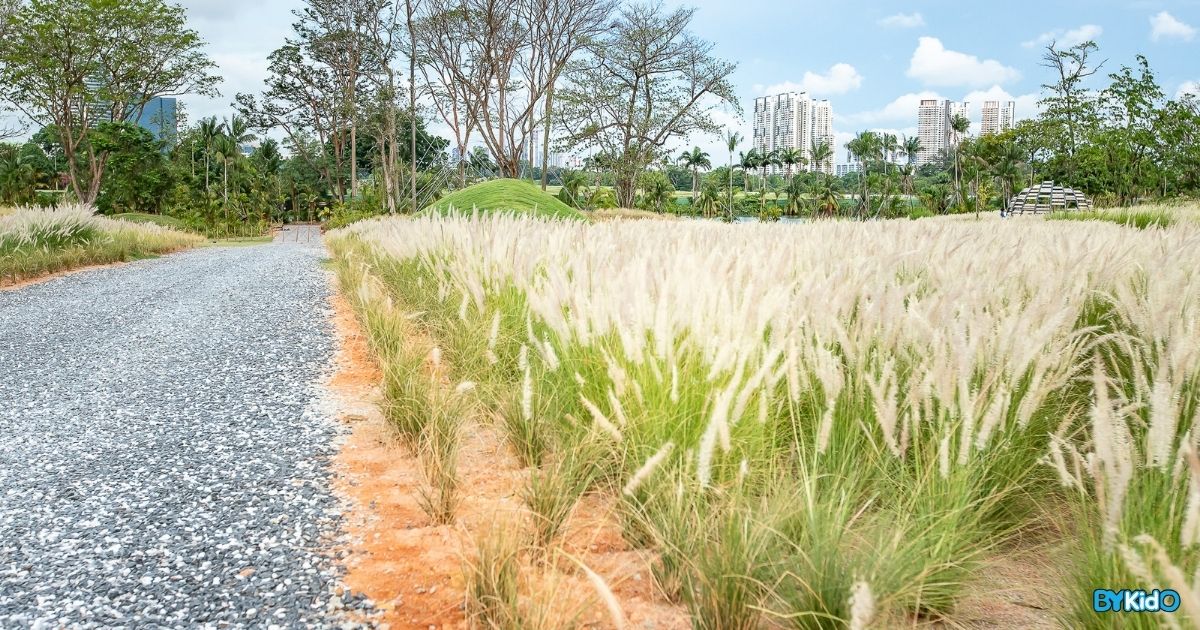New Bicycle Rental Outlet Opens at Jurong Lake Gardens