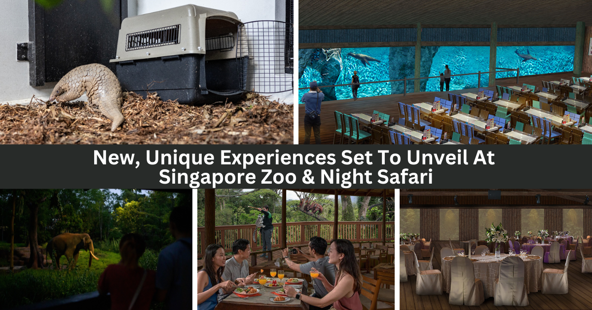 New Unique Experiences Set To Launch At Singapore Zoo And Night Safari!