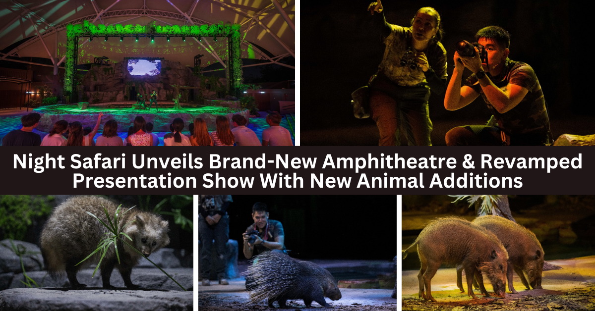 Night Safari Unveils Its Brand-New Amphitheatre And A Revamped Version Of Its Animal Presentation Show