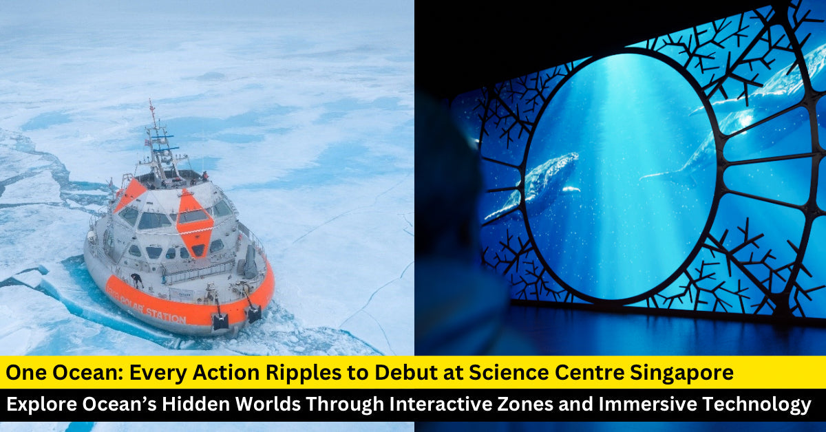 Explore One Ocean: Every Action Ripples at Science Centre Singapore – A Must-Visit for Families