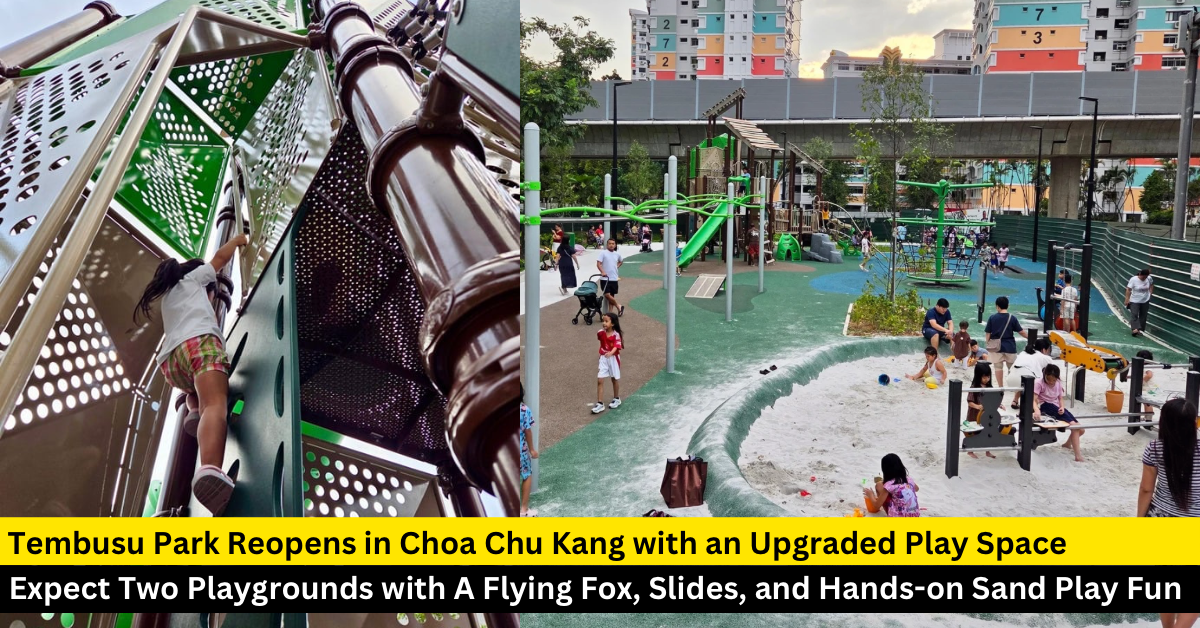 Tembusu Park: Two New Playgrounds, A Flying Fox, and Conveyor Belt Sand Play