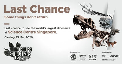DINOSAURS | EXTINCTIONS | US: Catch the World’s Largest Dinosaur Before It’s Gone!