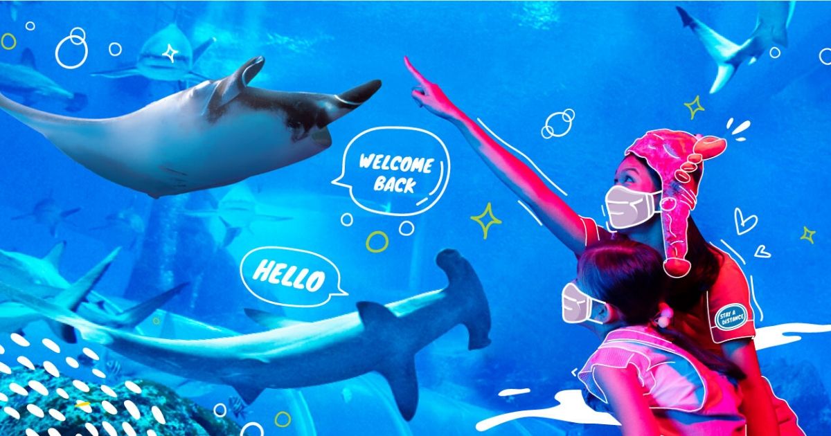 6 Family-friendly Attractions We Can’t Wait To Get Back To | Theme Parks, Museums And More