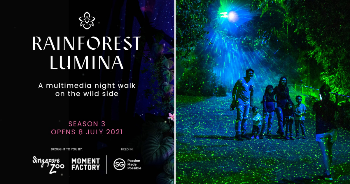 Rainforest Lumina: A Multi-sensory Night Trail at Singapore Zoo - BYKidO