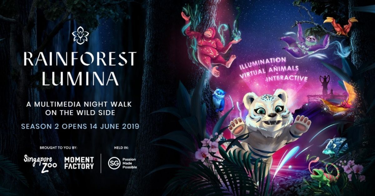A Multisensory Walk on the Wild Side – Rainforest Lumina is back for its 2nd Run | Singapore Zoo - BYKidO