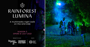 Rainforest Lumina: A Multi-sensory Night Trail at Singapore Zoo