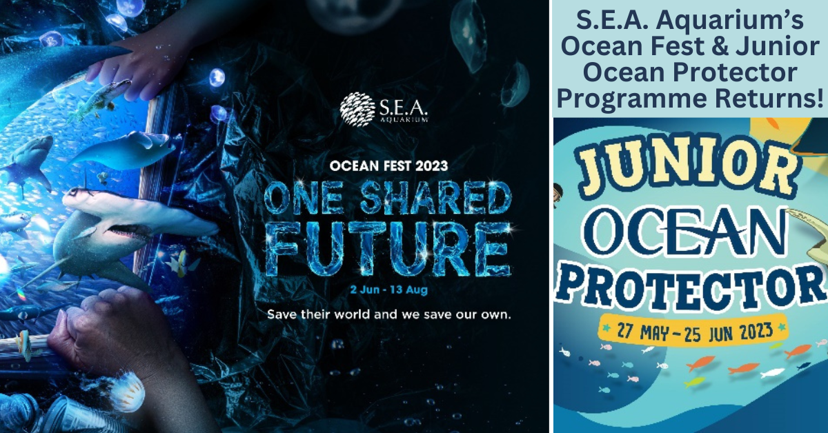 S.E.A. Aquarium’s Ocean Fest Returns With A Specially Curated Photo Exhibition, Art installations, The Junior Ocean Protector Programme And More!