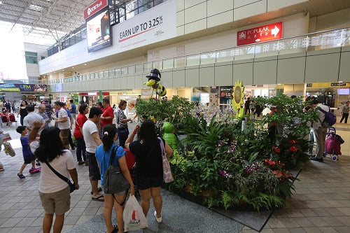 Things to do this Weekend: Visit Singapore Garden Festival Roadshow with Your Little Ones! - BYKidO