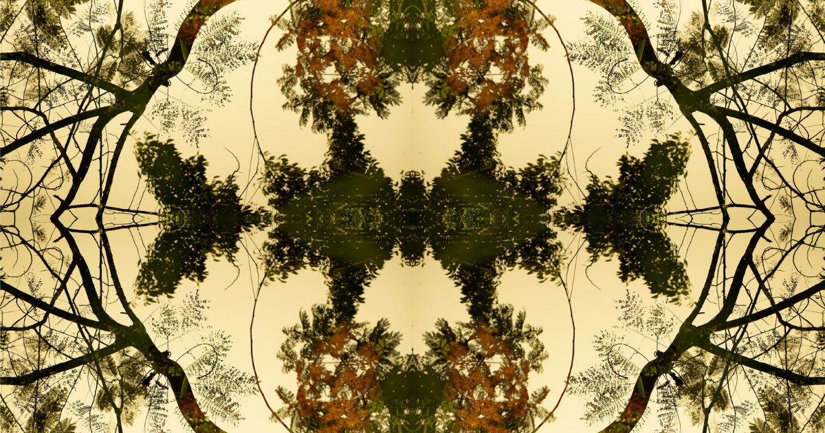 SIFA 2022: The Anatomy of Performance – Ritual