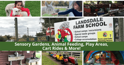 Landsdale Farm | Unique Educational Farm Experience In The Northern Suburbs Of Perth!