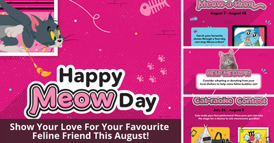 Cartoon Network Celebrates International Cat Day!