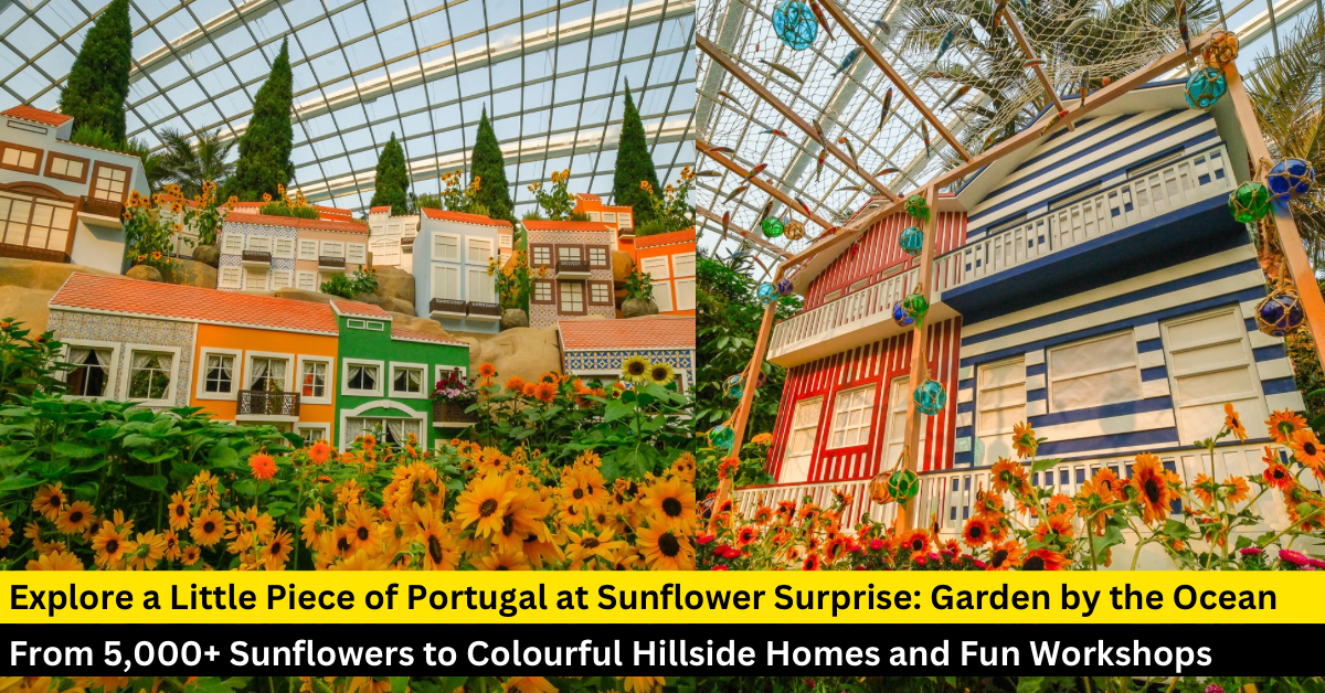 Sunflower Surprise at Gardens by the Bay: Explore & Win Tickets to Portugal