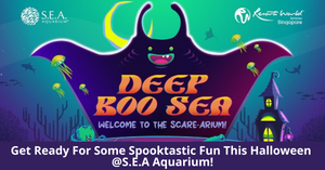Deep Boo Sea | Celebrate Halloween At S.E.A. Aquarium With Fun And Educational Activities For The Whole Family!