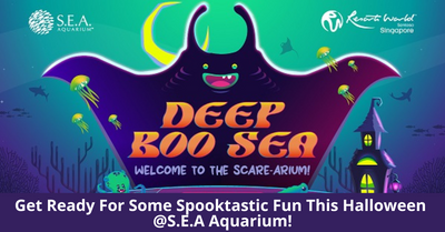Deep Boo Sea | Celebrate Halloween At S.E.A. Aquarium With Fun And Educational Activities For The Whole Family!