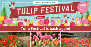 Yates Springtime at Araluen Botanic Park | Tulip Festival is here again!
