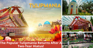 Tulipmania 2021 Is Back At Gardens By The Bay After Two Years