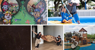 Things To Do With Kids In Singapore This Weekend: 10 - 16 Aug 2026 [Updated Weekly]