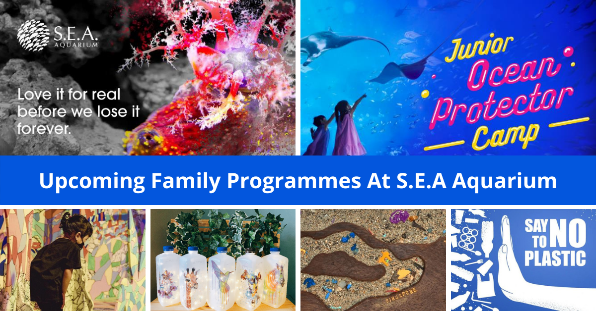 Learn To Love And Protect Our Oceans At S.E.A. Aquarium’s Ocean Fest And Junior Ocean Protector Camp