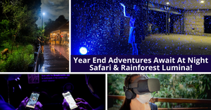 End-Of-Year Adventures In The Moonlight Await At Night Safari And Singapore Zoo's Rainforest Lumina!