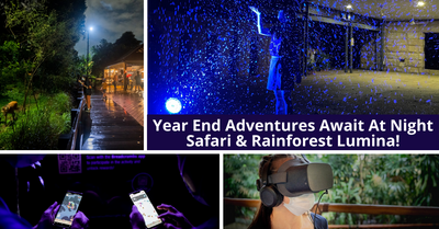 End-Of-Year Adventures In The Moonlight Await At Night Safari And Singapore Zoo's Rainforest Lumina!