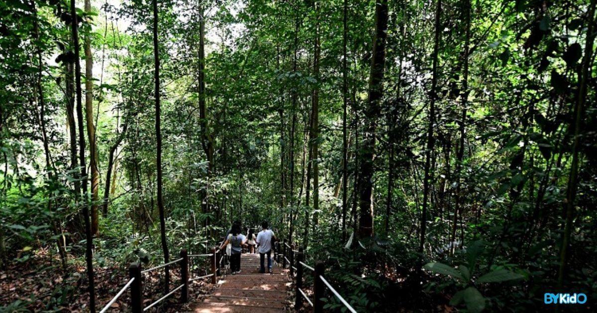11 Nature Walking Trails in Singapore to go Exploring with Your Little Ones - BYKidO