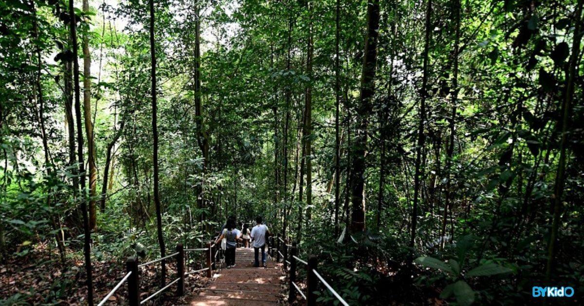 12 Nature Walking Trails in Singapore to go Exploring with Your Little Ones