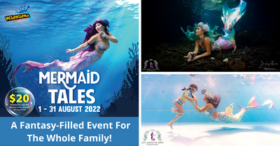 Dive Into The Magical World Of Mermaid Tales At Wild Wild Wet!