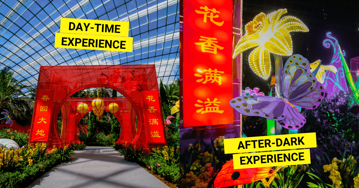 Dahlia Dreams 2022 at Gardens by the Bay - BYKidO