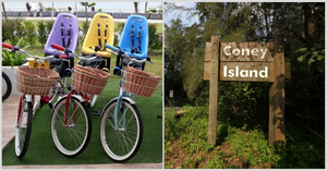Bicycle Rental At Punggol & Coney Island Park- Where, Types and Prices