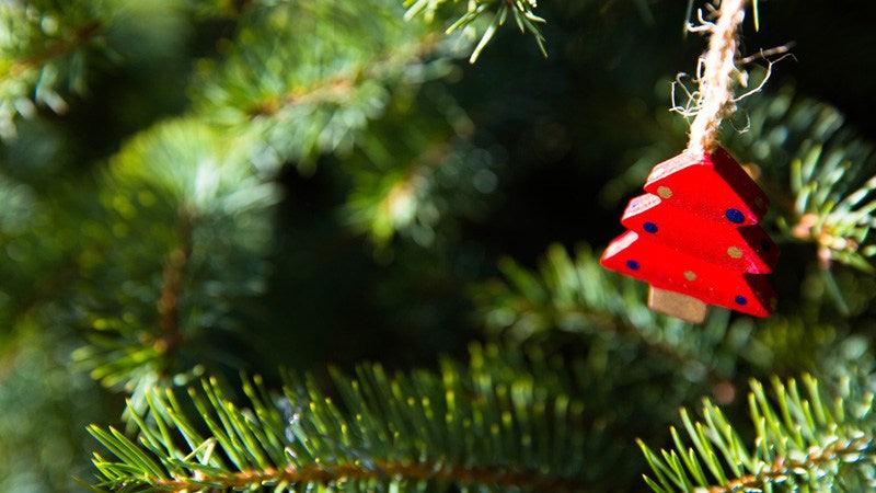 Things to do this Weekend: Dress Up a Xmas Tree at the Master Tree Challenge - BYKidO