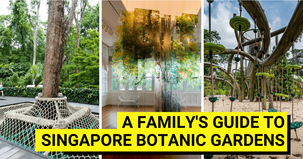 The Ultimate Family's Guide To Singapore Botanic Gardens - BYKidO