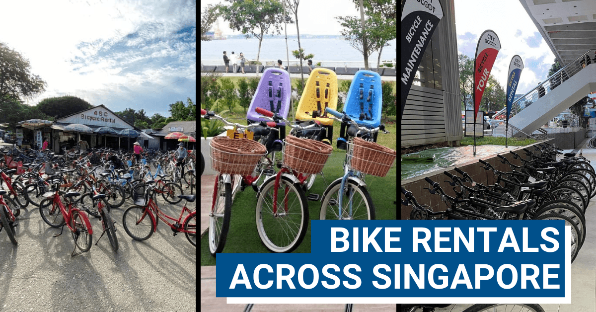 Top 15 Bicycle Rentals At East Coast Park, Punggol Waterway, Coney Island & More!