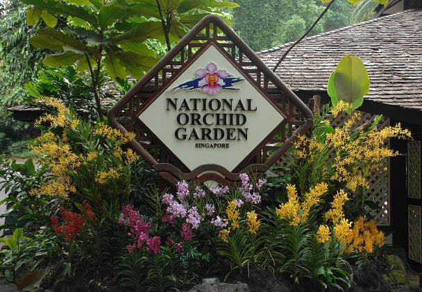 Places to go this Weekend - Free Entry to National Orchid Garden - BYKidO