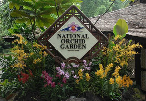 Places to go this Weekend - Free Entry to National Orchid Garden