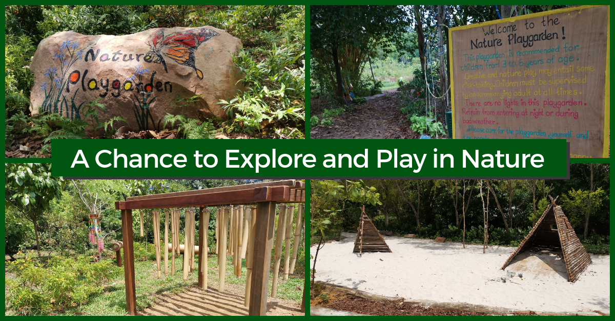 NParks' New Biophilic Playground: Nature Playgarden at HortPark - BYKidO
