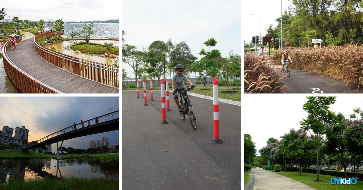 8 Best Cycling Routes and Nature Trails in Singapore to Explore with Your Kids