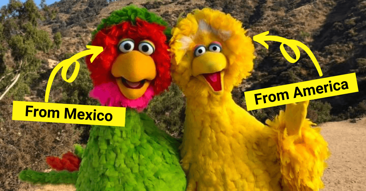 The Different Colours of Big Bird in Different Countries!