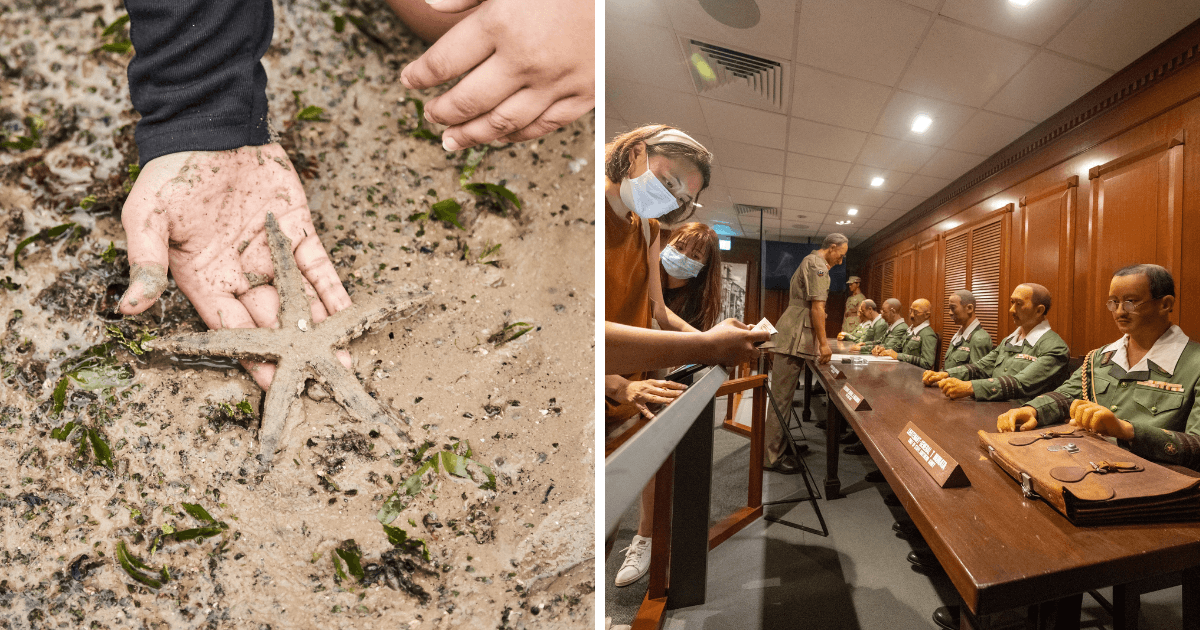 Sentosa Launches SentoSights, New Heritage and Sustainability Tours to Celebrate Its 50th Anniversary - BYKidO