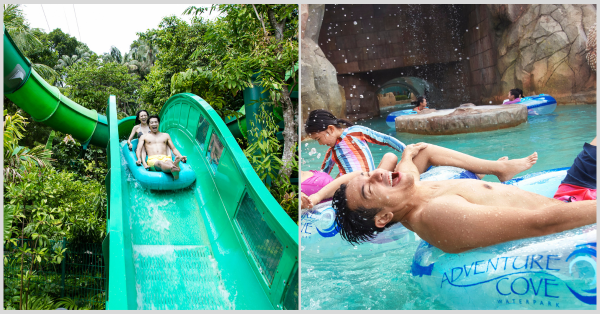 Adventure Cove Reopens For A Splashing Good Time - BYKidO