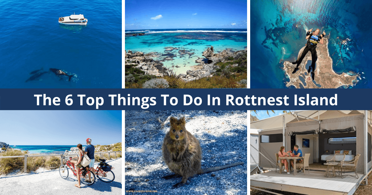 The Best Things To Do In Rottnest Island, Perth | Whale Watching, Island Tours, Water Activities And More!