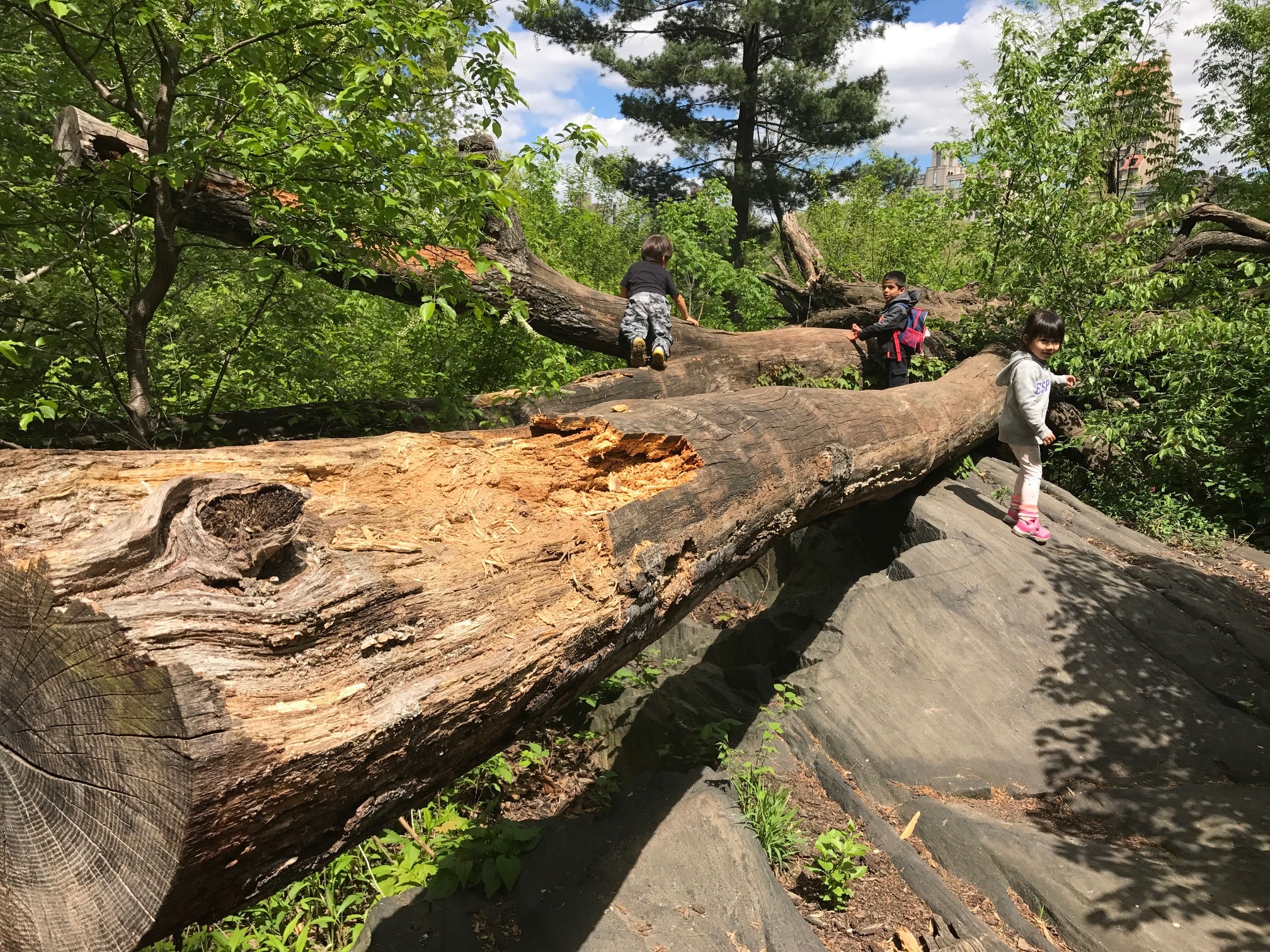 Expert Series: Why We Should Not Raise an Indoor Generation - BYKidO