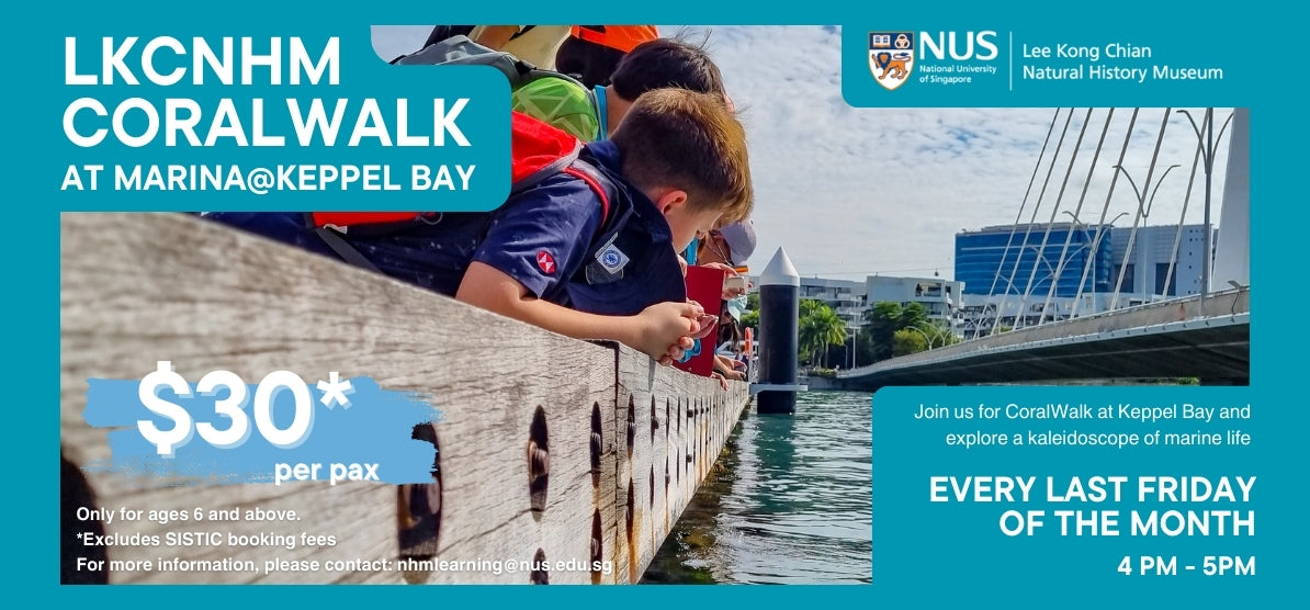 CoralWalk at Keppel Bay by Lee Kong Chian Natural History Museum