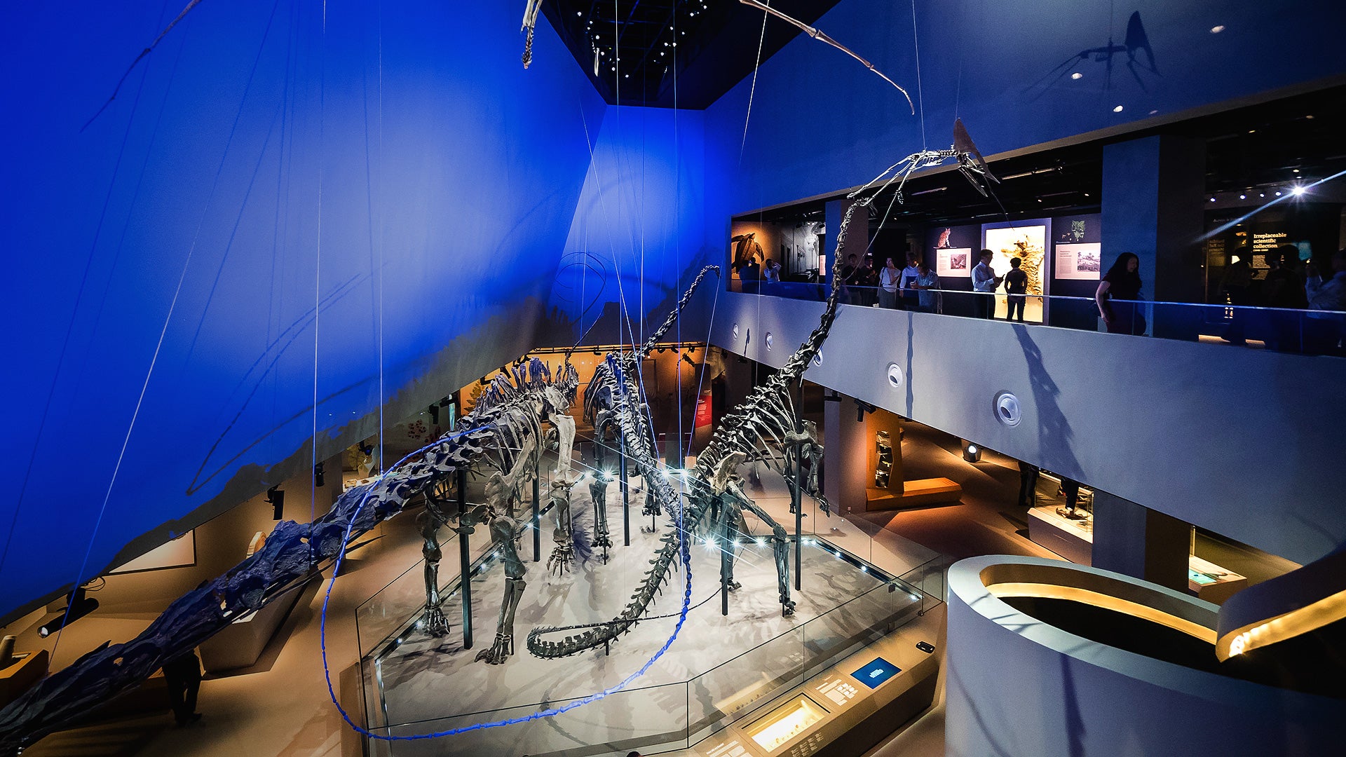 Natural History Museum with Dinosaur Fossils Reopens with 50% Off Tickets | Singapore - BYKidO