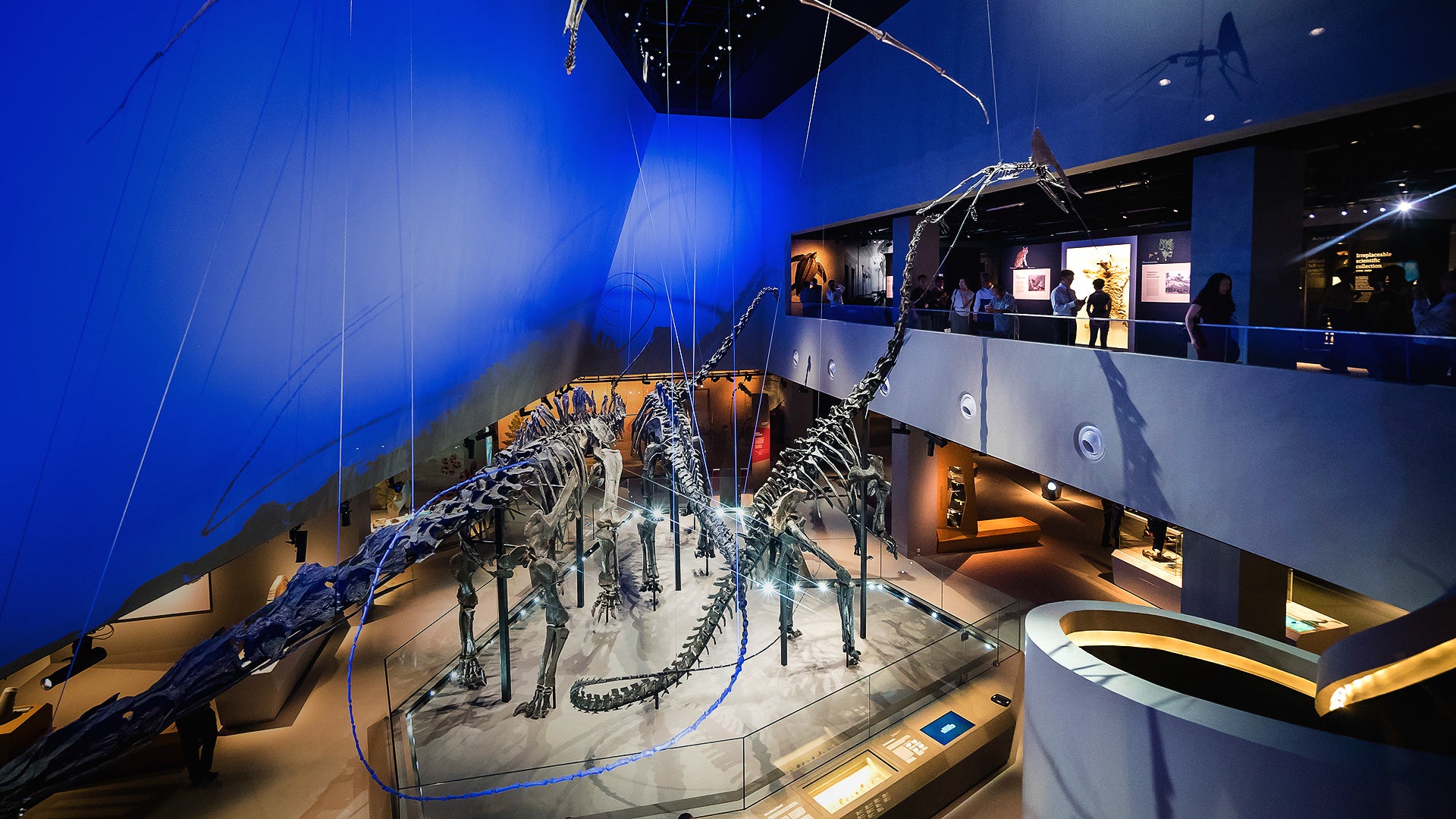 Natural History Museum with Dinosaur Fossils Reopens with 50% Off Tickets | Singapore