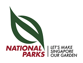 Places to go this Weekend - NParks' Parks Festival - Parks for Everyone - BYKidO
